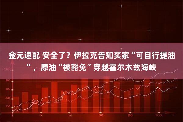 金元速配 安全了？伊拉克告知买家“可自行提油”，原油“被豁免”穿越霍尔木兹海峡